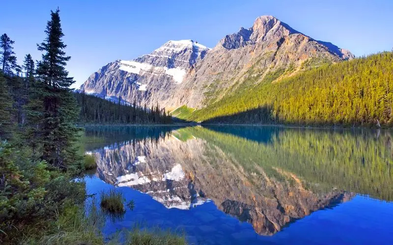 自动化先进无人化